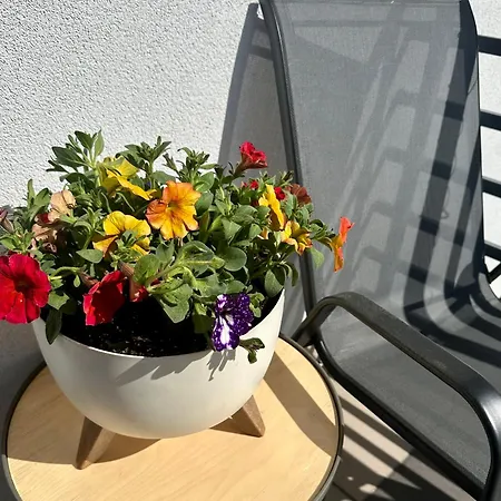 Apartament Sweet Garden Huta Szklana  Zewnętrze zdjęcie